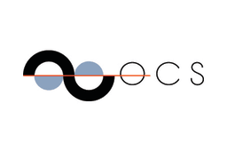 Options Consulting Solutions