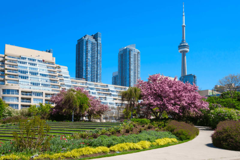 The Best Things to Do in Toronto During Spring Season 1