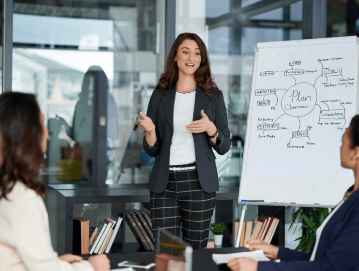Image of a woman sharing her marketing plans with a group